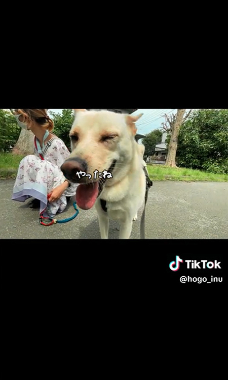 うれしいワンコ