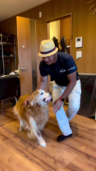 オモチャをくわえるミントくん