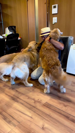 パパに抱きつくワンコたち