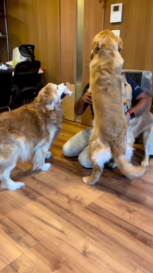 喜びがとまらないワンコたち