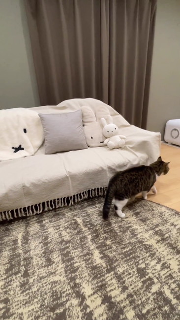 部屋の隅を確認