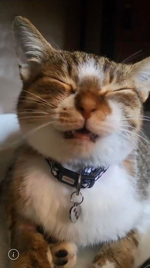 目つぶり愛ちゃん