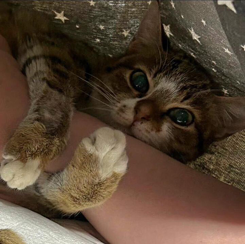 目を開けてぎゅっとする愛ちゃん