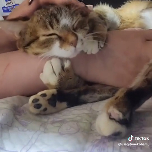 顔をちょっと前に出した愛ちゃん