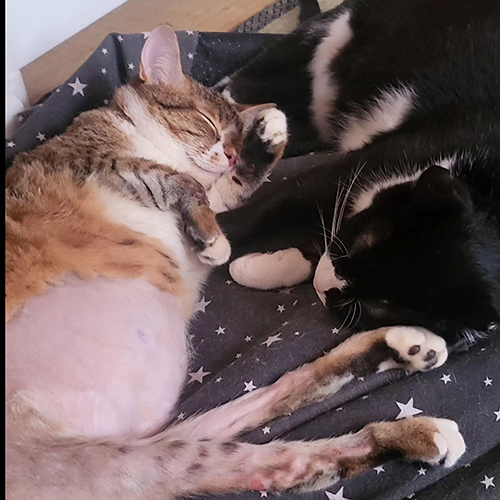 愛ちゃんとサランちゃん