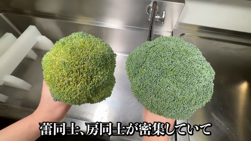 知ってるようで意外と知らない【ブロッコリーの洗い方／茹で方】