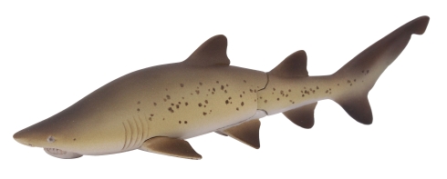 青き海の世界 ザ・シャーク シロワニあらわる