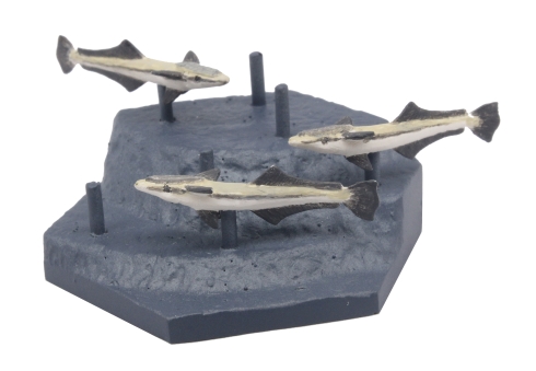 青き海の世界 ザ・シャーク シロワニあらわる