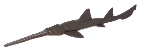 青き海の世界 ザ・シャーク シロワニあらわる