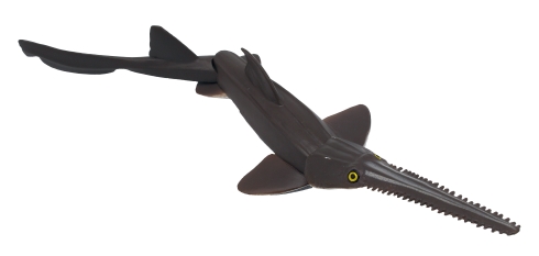 青き海の世界 ザ・シャーク シロワニあらわる