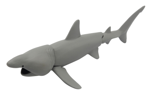 青き海の世界 ザ・シャーク シロワニあらわる