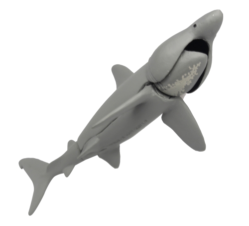 青き海の世界 ザ・シャーク シロワニあらわる