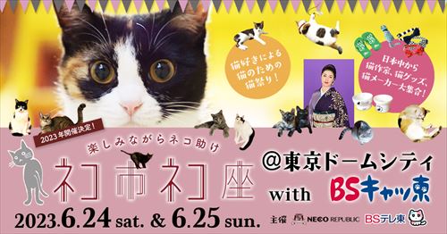 ネコ市ネコ座フライヤー