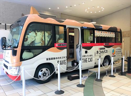 ネコ市ネコ座譲渡会バス