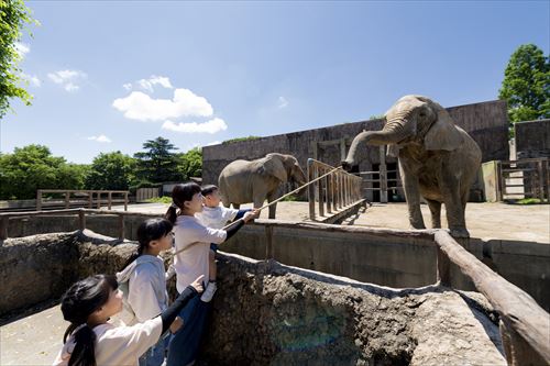 アニマルディナー