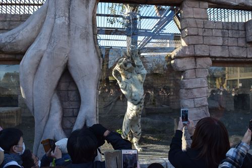 アニマルナイトガイド