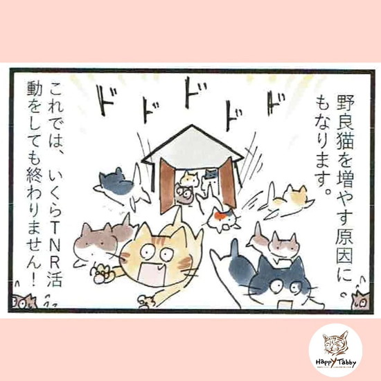 野良猫を増やす原因になる