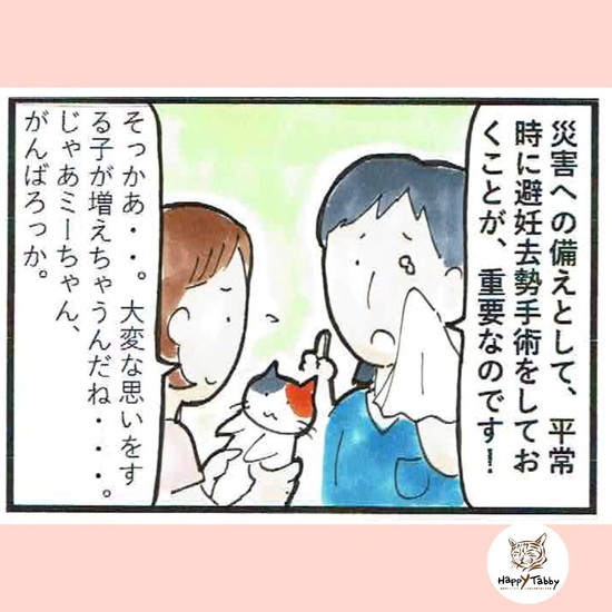 飼い猫の避妊去勢手術の徹底を