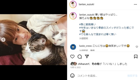 鈴木蘭々と猫