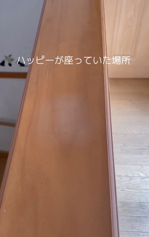 ハッピーが座っていた場所テロップ