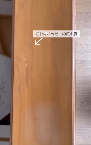 これはハッピーの爪の跡テロップ