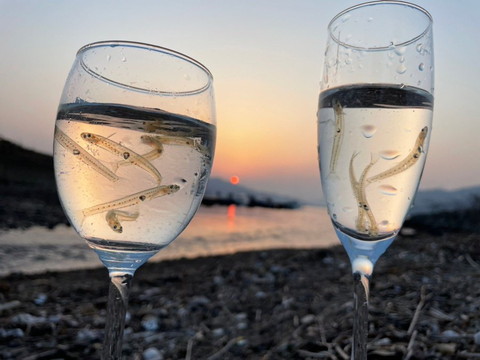 グラスに入った魚