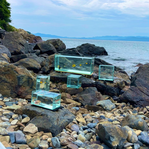 海辺に水槽