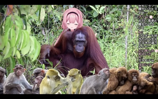 周央サンゴ Twitter 老人会 インターネット VTuber 思い出