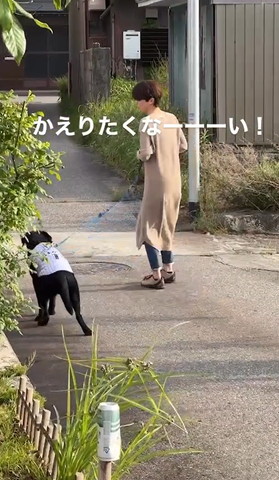 歩くワンコを見るママさん