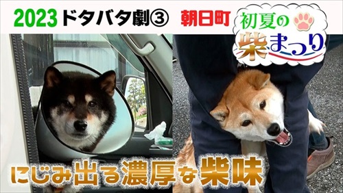 おすすめ