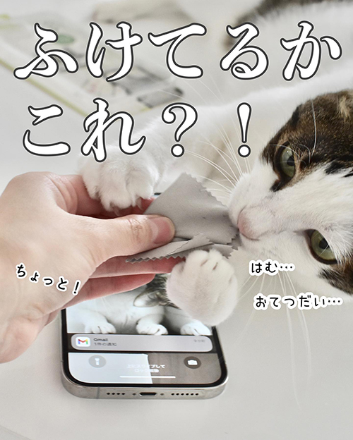 ふけてるかこれ