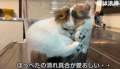 ほっぺたの潰れ具合がテロップ