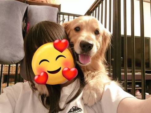 ゴールデンレトリバーをなでなで