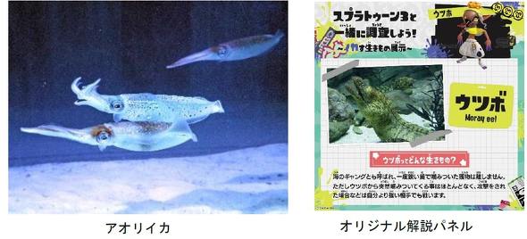 スプラトゥーン3×八景島シーパラダイス