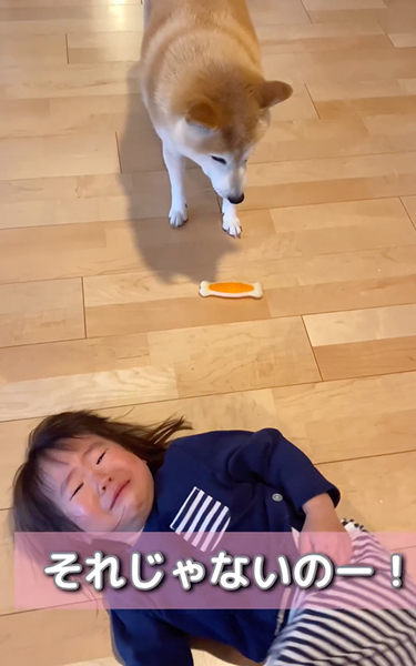 寝転ぶ娘と柴犬