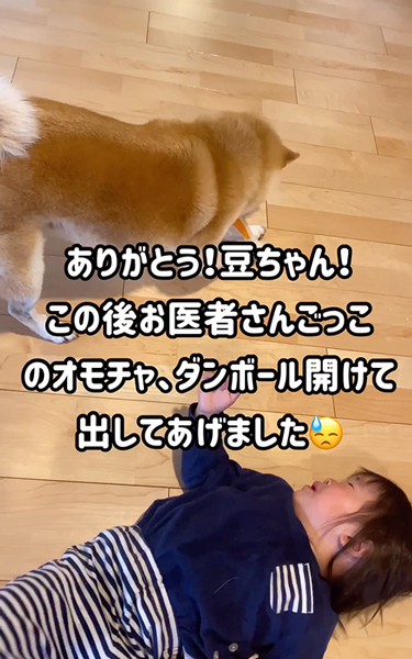 慰める柴犬と泣く娘