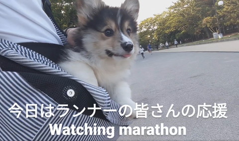 今日はランナーの皆さんの応援テロップ