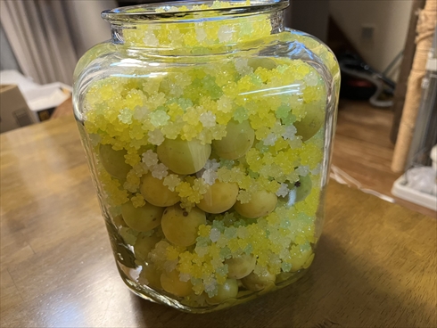 梅シロップ　氷砂糖　金平糖