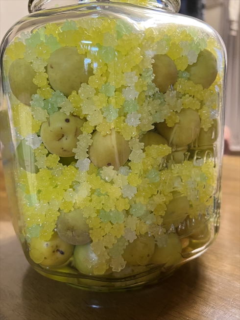 梅シロップ　氷砂糖　金平糖