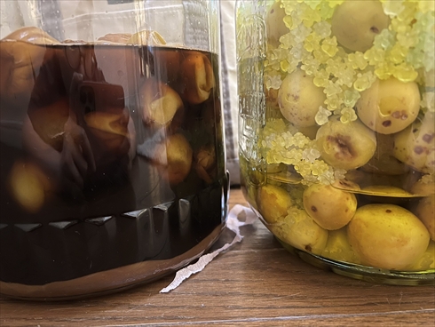 梅シロップ　氷砂糖　金平糖