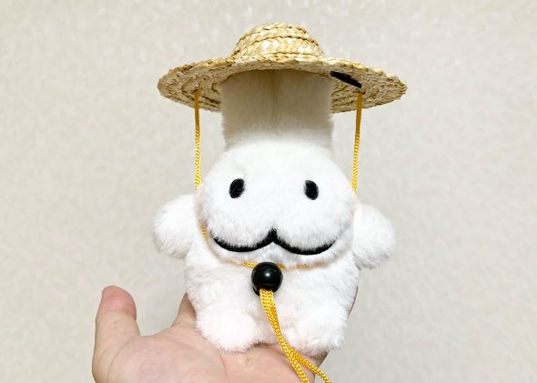 ダイソーの麦わら帽子をかぶったうっさー