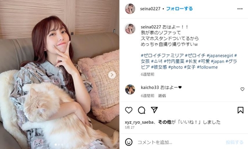 竹内星菜と猫