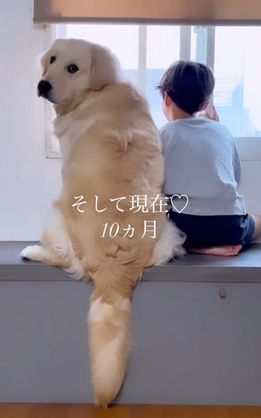 大きくなったワンコ