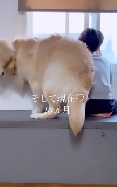 向きを変えるワンコ