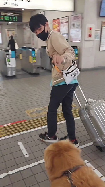 バイバイするお兄ちゃん