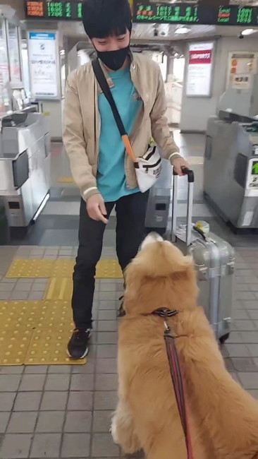 向き合うふたり