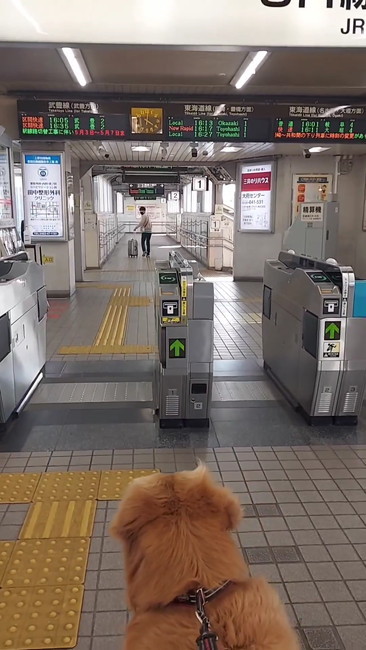 小さくなるお兄ちゃん