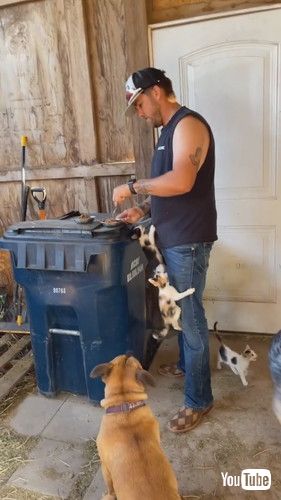 男性によじのぼる子猫たち