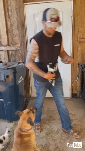 男性によじのぼる子猫たち