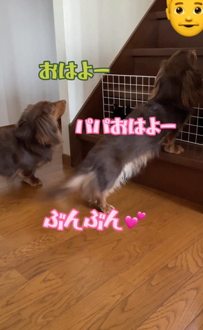 おはよーテロップ